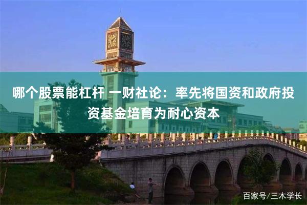 哪个股票能杠杆 一财社论：率先将国资和政府投资基金培育为耐心资本