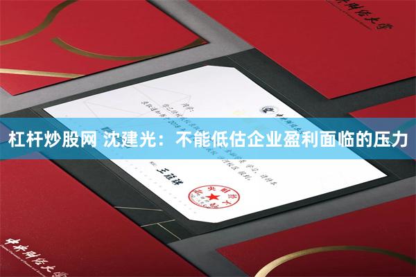 杠杆炒股网 沈建光：不能低估企业盈利面临的压力