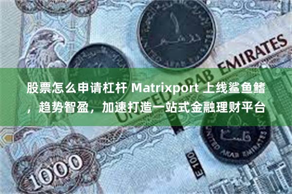 股票怎么申请杠杆 Matrixport 上线鲨鱼鳍，趋势智盈，加速打造一站式金融理财平台