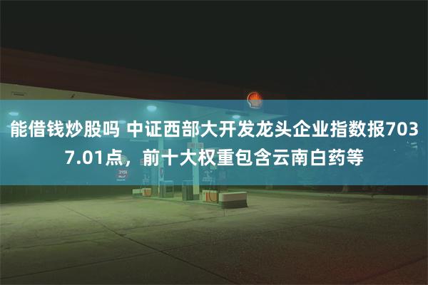 能借钱炒股吗 中证西部大开发龙头企业指数报7037.01点，前十大权重包含云南白药等