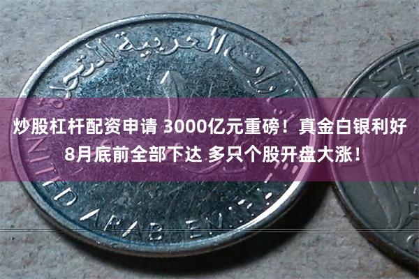 炒股杠杆配资申请 3000亿元重磅！真金白银利好 8月底前全部下达 多只个股开盘大涨！