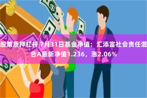 股票质押杠杆 7月31日基金净值：汇添富社会责任混合A最新净值1.236，涨2.06%