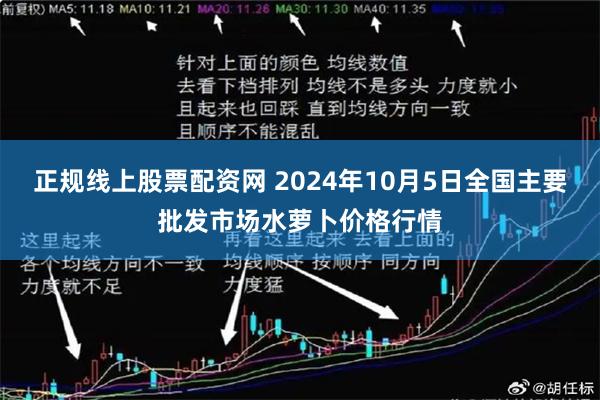 正规线上股票配资网 2024年10月5日全国主要批发市场水萝卜价格行情