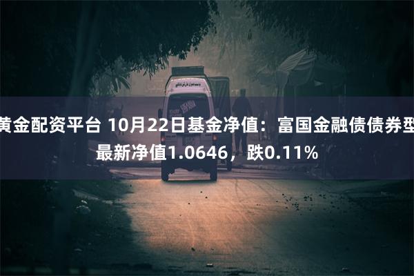 黄金配资平台 10月22日基金净值：富国金融债债券型最新净值1.0646，跌0.11%