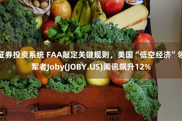 证券投资系统 FAA敲定关键规则，美国“低空经济”领军者Joby(JOBY.US)闻讯飙升12%