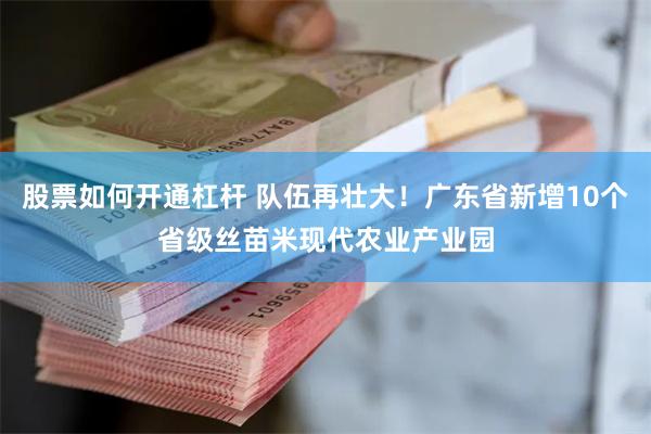 股票如何开通杠杆 队伍再壮大！广东省新增10个省级丝苗米现代农业产业园