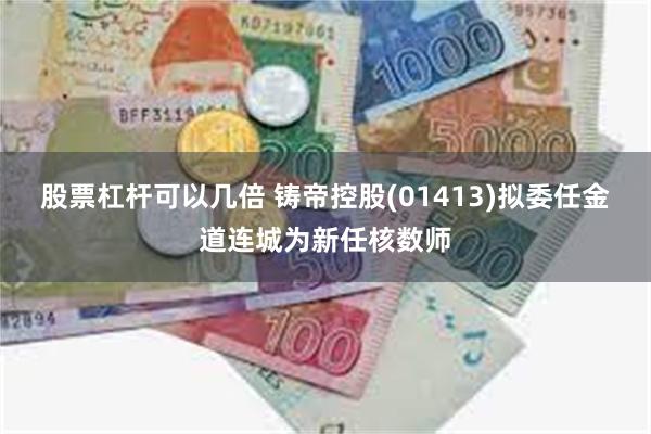 股票杠杆可以几倍 铸帝控股(01413)拟委任金道连城为新任核数师