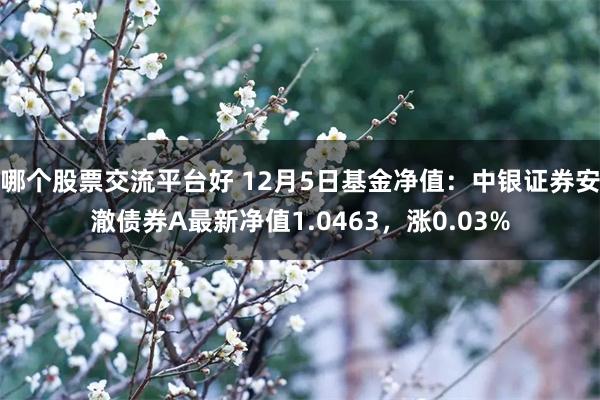 哪个股票交流平台好 12月5日基金净值：中银证券安澈债券A最新净值1.0463，涨0.03%