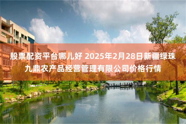 股票配资平台哪儿好 2025年2月28日新疆绿珠九鼎农产品经营管理有限公司价格行情