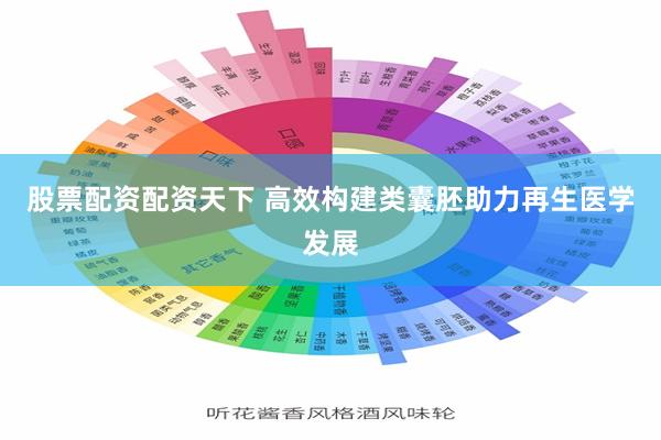 股票配资配资天下 高效构建类囊胚助力再生医学发展